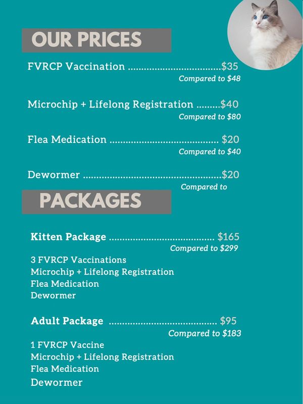 Low Cost Cat Vaccinations Kitten Shots Cat Shots The Cat Lounge Low Cost Cat Vaccinations Kitten Shots Cat Shots The Cat Lounge